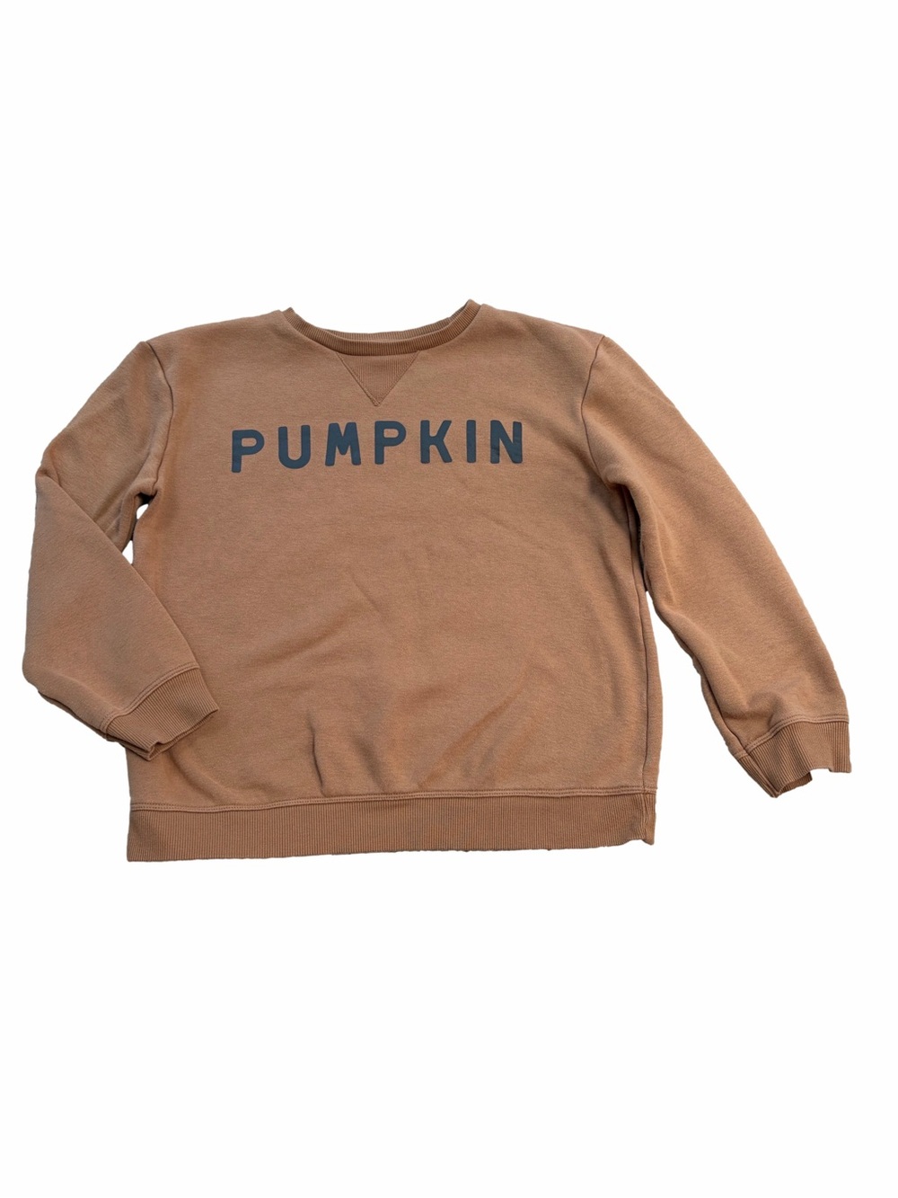 Little Co. Size 10 Brown Pumpkin Fall Crewneck Pullover Sweatshirt